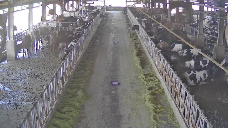 西棟飼料走道監控畫面